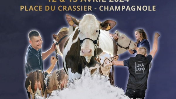 Concours départemental Montbéliarde : Célébrons l’élevage jurassien ! 