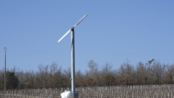 L'éolienne, un outil pour lutter contre le gel