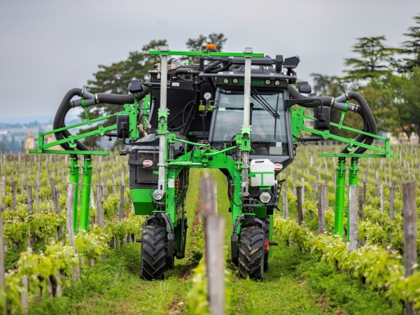 « Dans mes vignes larges, le tracteur enjambeur est efficace au désherbage mécanique » 