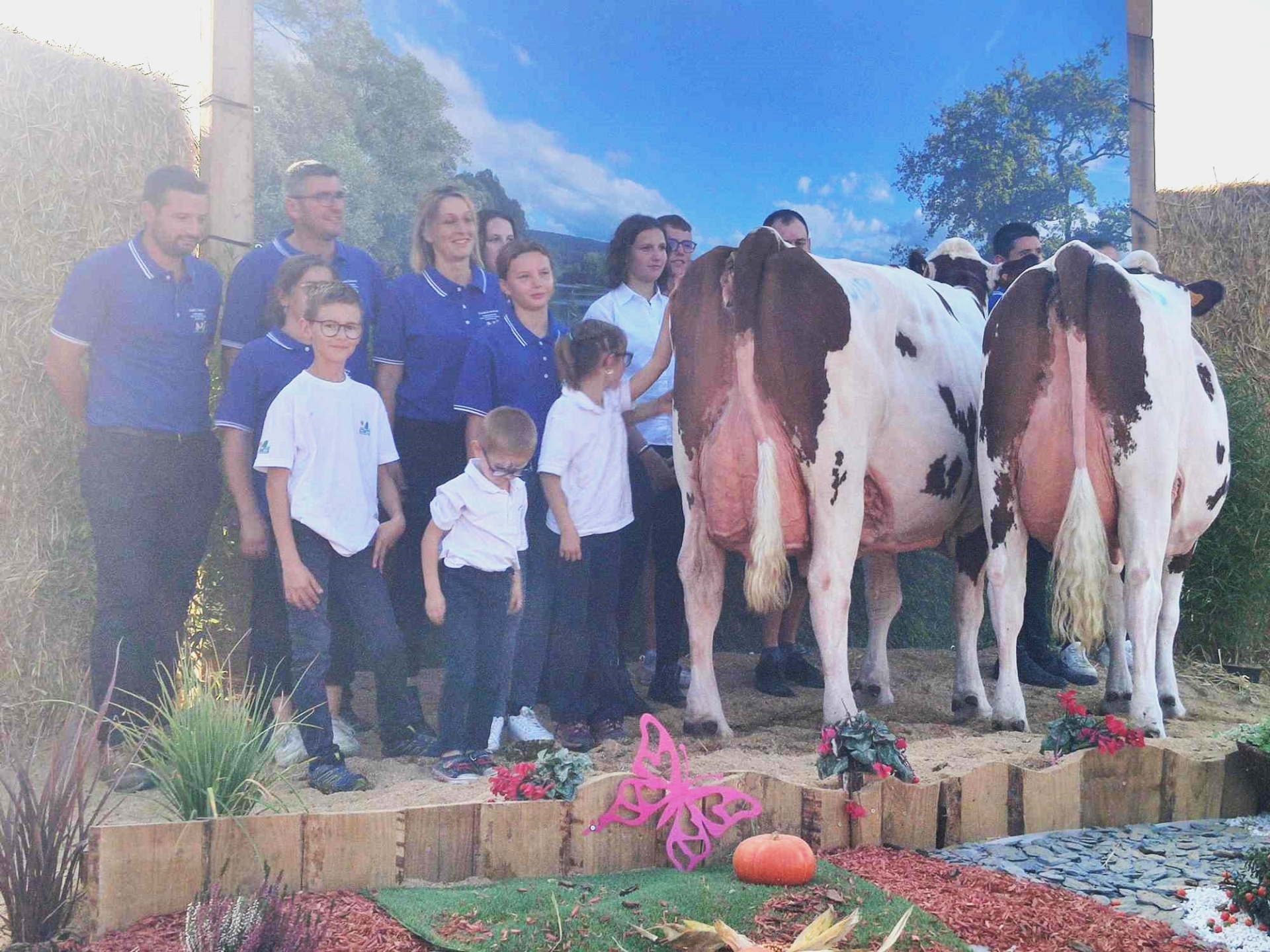 Champagnole : une fête de l’élevage en pleine ville