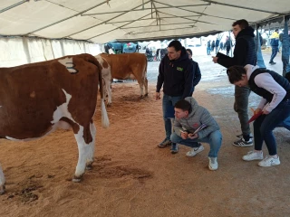 Une fête de l’élevage orchestrée avec brio !