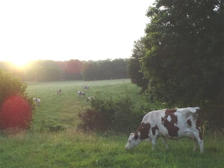 Le Comté : major de promotion 