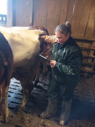 L’échographie d’aptitude, un nouveau service pour optimiser la reproduction 