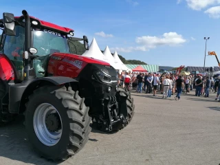 Ceinture et éléments obligatoires