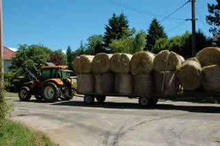 Circulation : les règles à ne pas négliger
