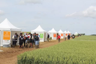 À Annoire, Interval expose ses 700 micro-parcelles