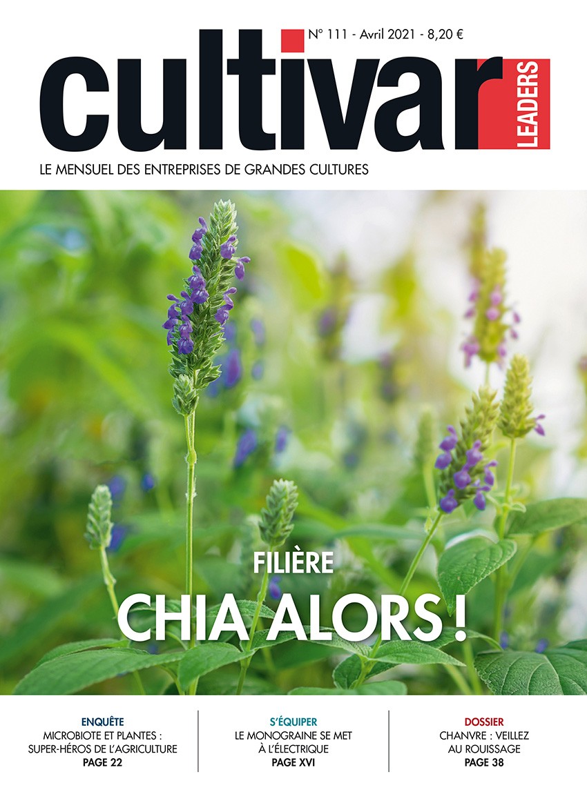 Cultivar Grandes Cultures 