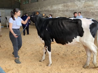 Découvrir le monde fermé des concours agricoles