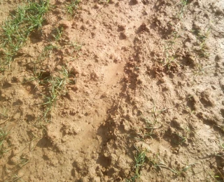 CARG’eau : pour mieux gérer la ressource en eau