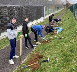 Des arbres sur le parvis de l’école !