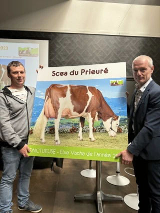 Sélectionner des bovins résistants à la chaleur