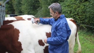 La campagne de vaccination progresse à bon rythme