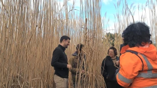 Une culture pérenne et vertueuse