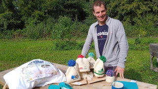 Un oreiller 100% français en laine de Franche-Comté 