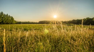 Partager des machines et de l’énergie