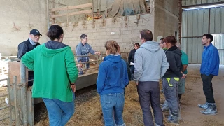 « Un outil de diagnostic : l’autopsie d’un ovin »