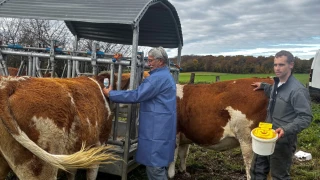 Les vétérinaires retraités se mobilisent 