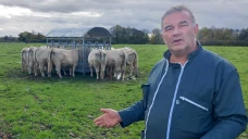 Au-delà des contraintes,  la double-peine  de « l'effet frontière »