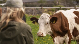 Chamblay mobilisé pour ses éleveurs
