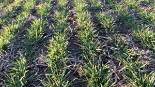 Mieux comprendre le phénomène