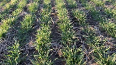 Mieux comprendre le phénomène