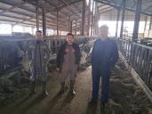 Le pari du GAEC de la Ruppe pour préparer l’avenir