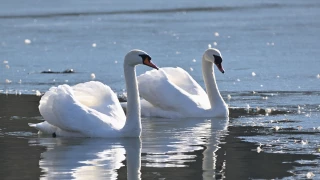 Un cas détecté à Aumont
