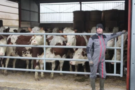 Les vaches et les sourires de retour à Ecleux