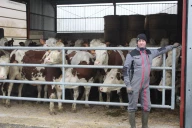 Les vaches et les sourires de retour à Ecleux