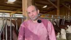 Écleux : le repeuplement redonne vie aux bâtiments 