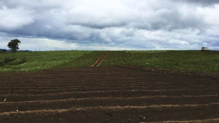 Le sort du bail après l'acquisition de la propriété exclusive