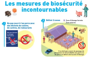 La DDETSPP appelle à la vigilance