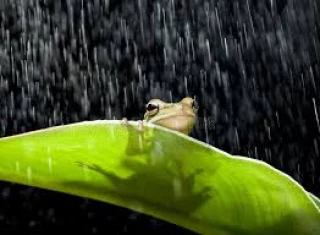 Météo de la semaine